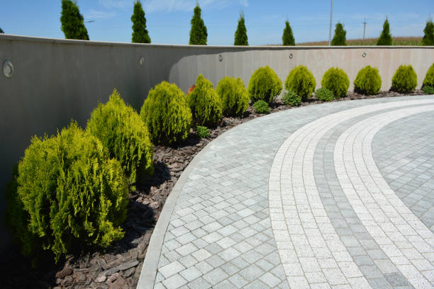Best Concrete Paver Driveway  in Bovina, TX